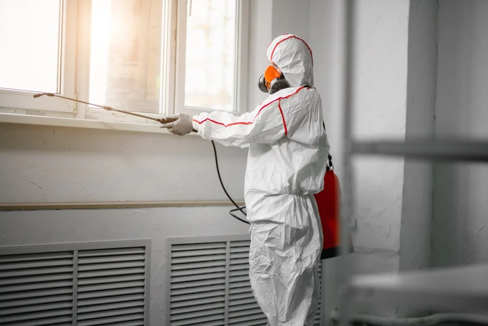 Professional mold remediation services in Pulaski, WI